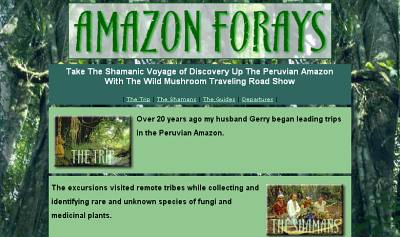 Click here to visit the site